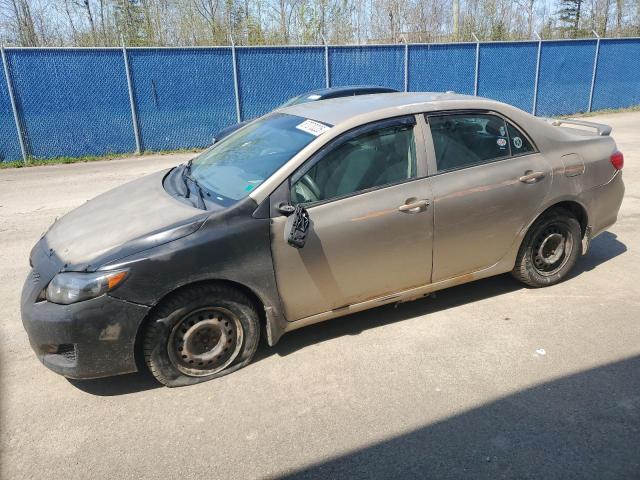 TOYOTA COROLLA BA 2010 with VIN 2T1BU4EE1AC225169 - Photo from auction