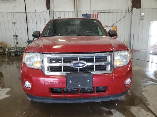 Photo 5 from auction – 2010 FORD ESCAPE XLT with VIN 1FMCU0DG7AKA10731