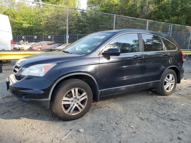HONDA CR-V EXL 2011 with VIN 5J6RE4H73BL016982 - Photo from auction