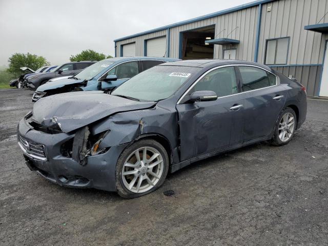 NISSAN MAXIMA 2010 with VIN 1N4AA5AP4AC828102 - Photo from auction