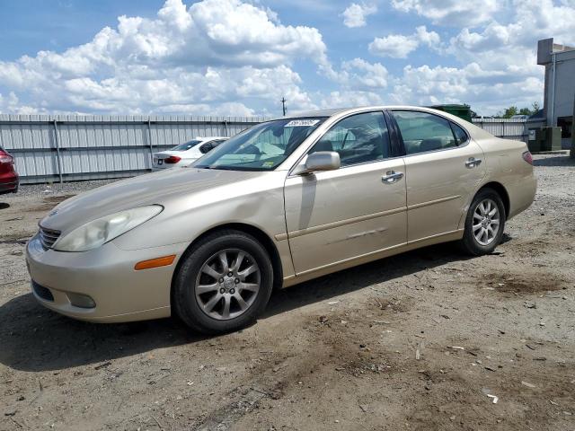 LEXUS ES 300 2003 with VIN JTHBF30G830089020 - Photo from auction