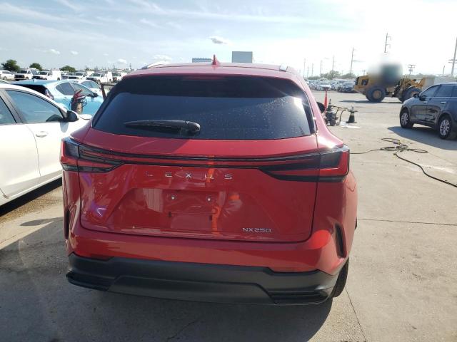 Photo 6 from auction – 2023 LEXUS NX 250 with VIN 2T2ADCAZ4PC004233