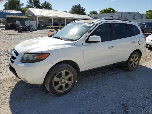 HYUNDAI SANTA FE 2007 with VIN 5NMSH13E37H031316 - Photo from auction