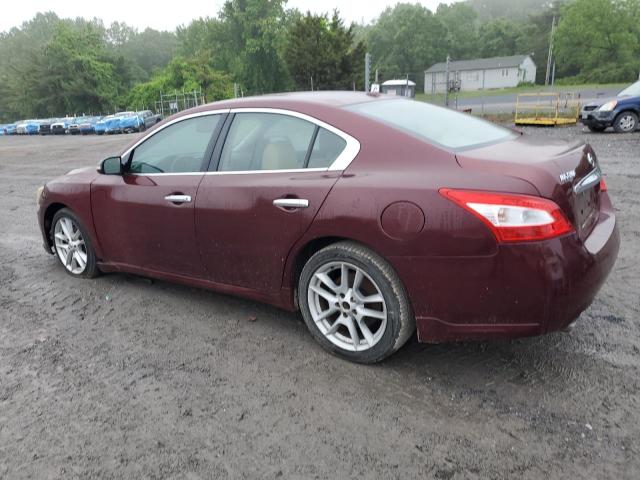Photo 2 from auction – 2010 NISSAN MAXIMA S with VIN 1N4AA5AP7AC836369