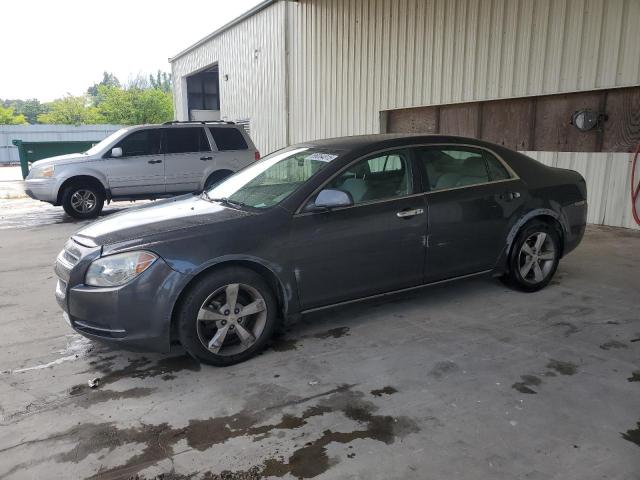 CHEVROLET MALIBU 1LT 2011 with VIN 1G1ZC5EU8BF102484 - Photo from auction