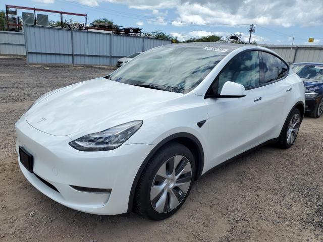 TESLA MODEL Y 2022 with VIN 7SAYGDEE4NF511006 - Photo from auction