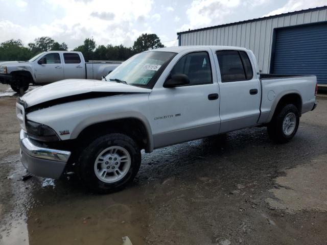 DODGE DAKOTA QUA 2000 with VIN 1B7GL2AN1YS763396 - Photo from auction