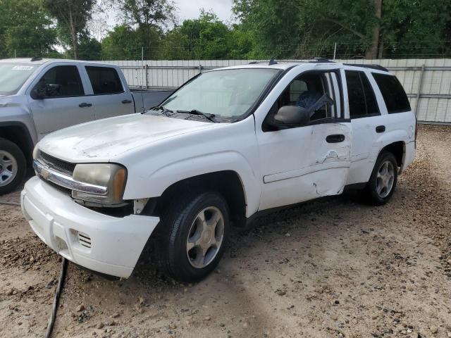 Photo 1 from auction – 2007 CHEVROLET TRAILBLAZE with VIN 1GNDS13S072150226