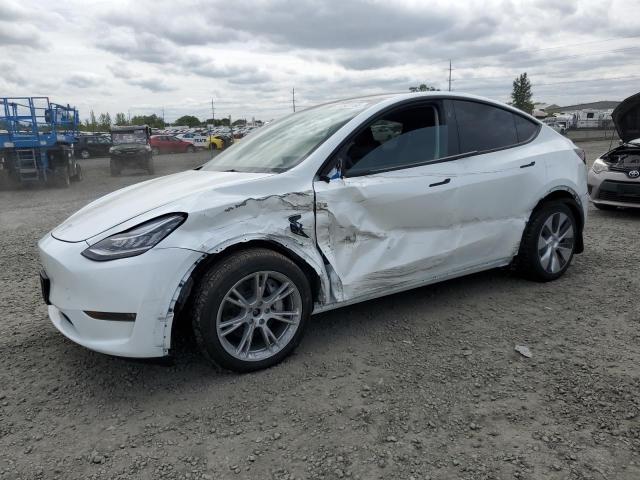 TESLA MODEL Y 2023 with VIN 7SAYGDEE0PA144606 - Photo from auction
