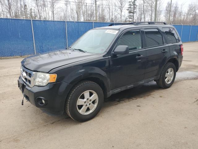 FORD ESCAPE XLT 2011 with VIN 1FMCU9DG2BKB42141 - Photo from auction