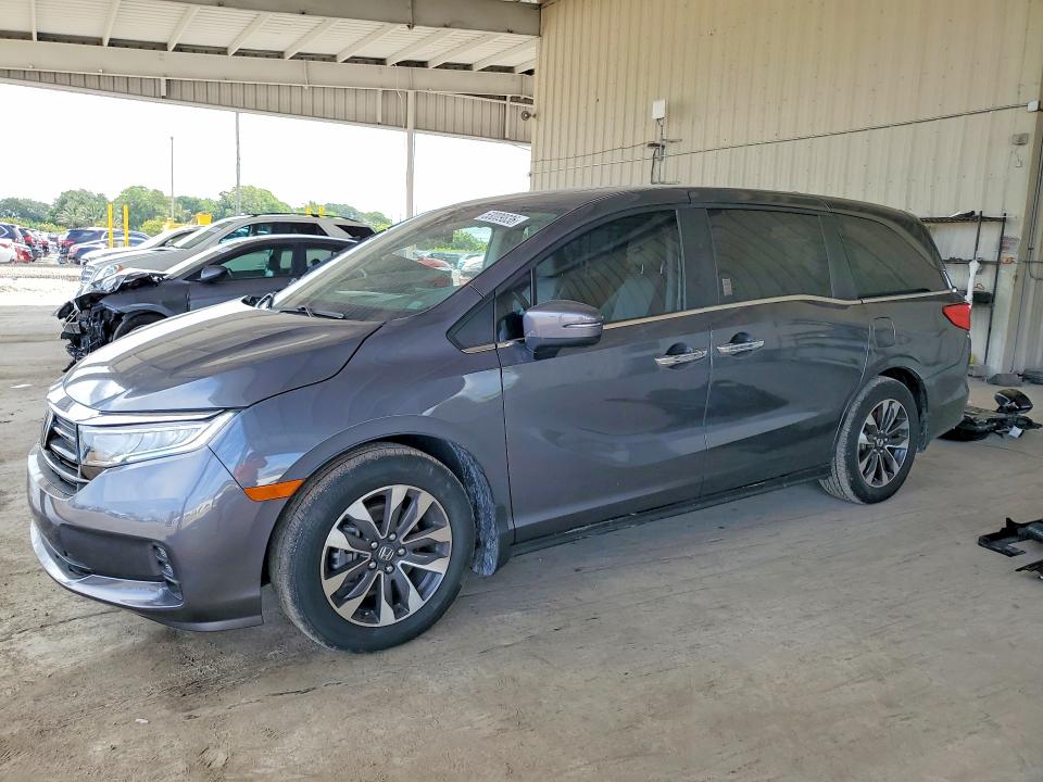 HONDA ODYSSEY 2024 with VIN 5FNRL6H6XRB016151 - Photo from auction