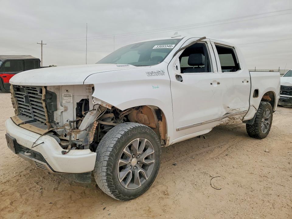 CHEVROLET SILVERADO 2023 with VIN 3GCUDJE8XPG124597 - Photo from auction
