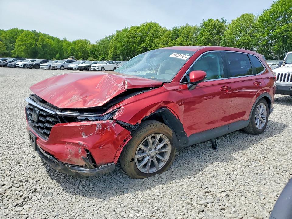 HONDA CR-V 2024 with VIN 2HKRS4H75RH464878 - Photo from auction