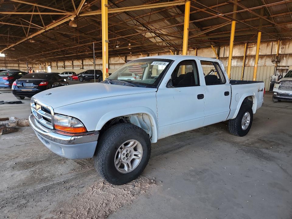 DODGE DAKOTA 2003 with VIN 1D7HG48N13S345669 - Photo from auction