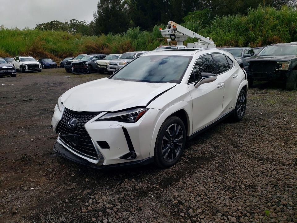 2022 LEXUS UX 250H - Търг №54905366