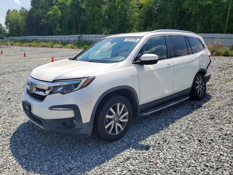 HONDA PILOT 2019 with VIN 5FNYF5H50KB006626 - Photo from auction