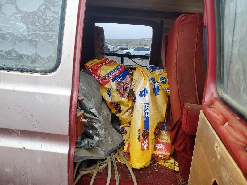 Photo 11 from auction – 1984 FORD ECONOLINE with VIN 1FDDE14F3EHA78705