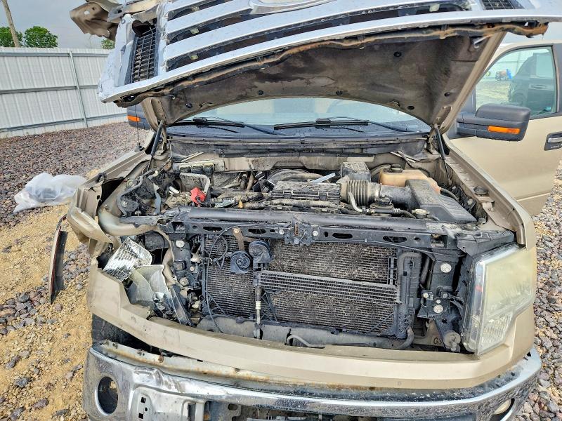 Photo 11 from auction – 2009 FORD F150 with VIN 1FTRX12819KC78886