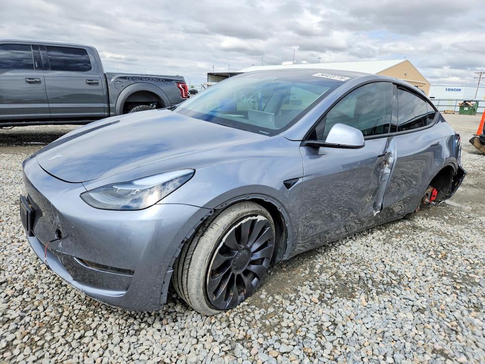 Фото 1 с аукциона – 2024 TESLA MODEL Y с VIN 7SAYGDEF7RF182221