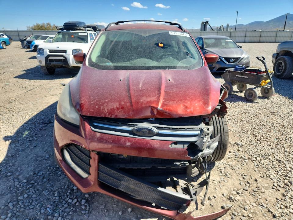 Photo 5 from auction – 2014 FORD ESCAPE with VIN 1FMCU0GX5EUD02724