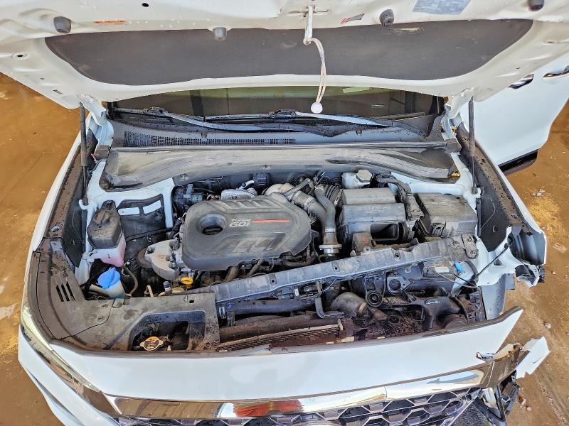 Photo 12 from auction – 2020 HYUNDAI SANTA FE with VIN 5NMS5CAA5LH301757
