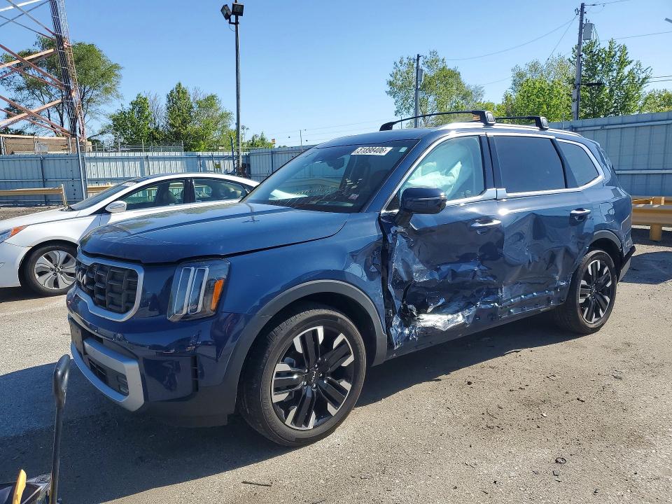 KIA TELLURIDE 2024 with VIN 5XYP5DGC2RG435617 - Photo from auction