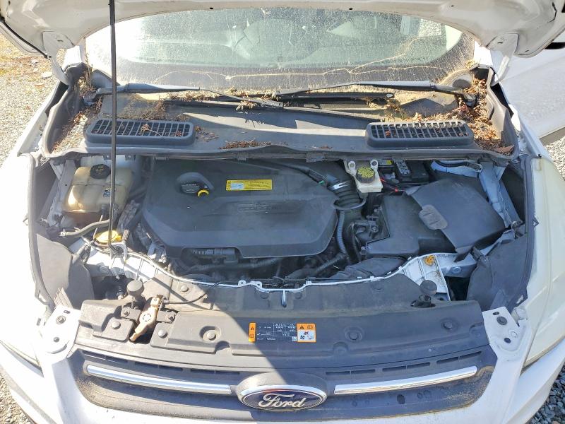 Photo 12 from auction – 2013 FORD ESCAPE with VIN 1FMCU9GX1DUB56356