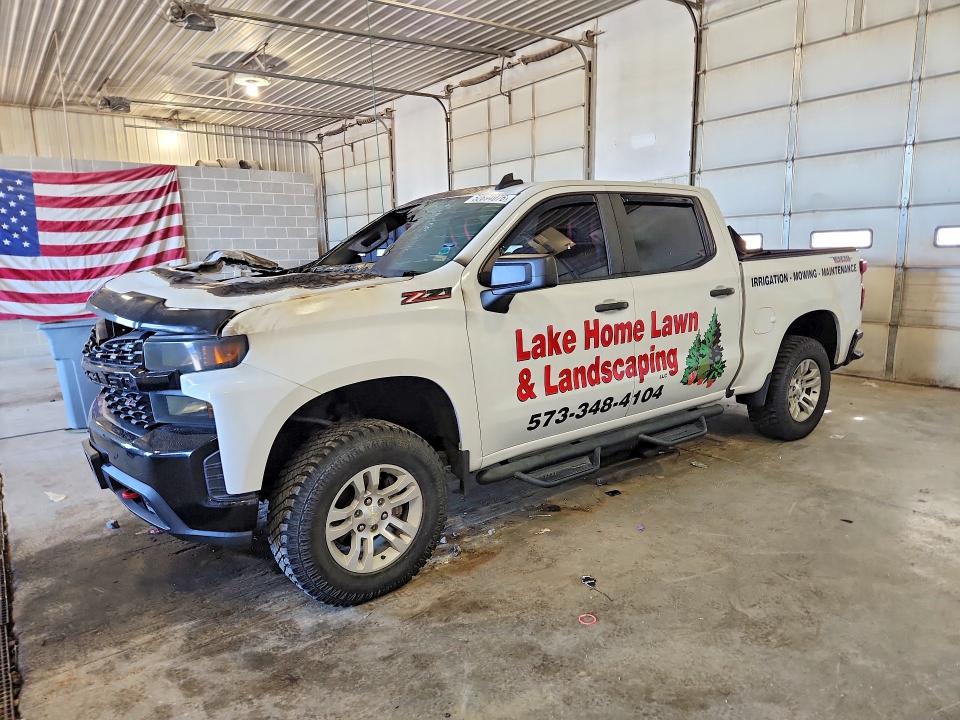 CHEVROLET SILVERADO 2019 with VIN 1GCPYCEF1KZ214483 - Photo from auction