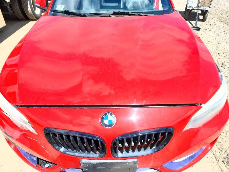 Photo 11 from auction – 2016 BMW 228 with VIN WBA1G9C5XGV599026