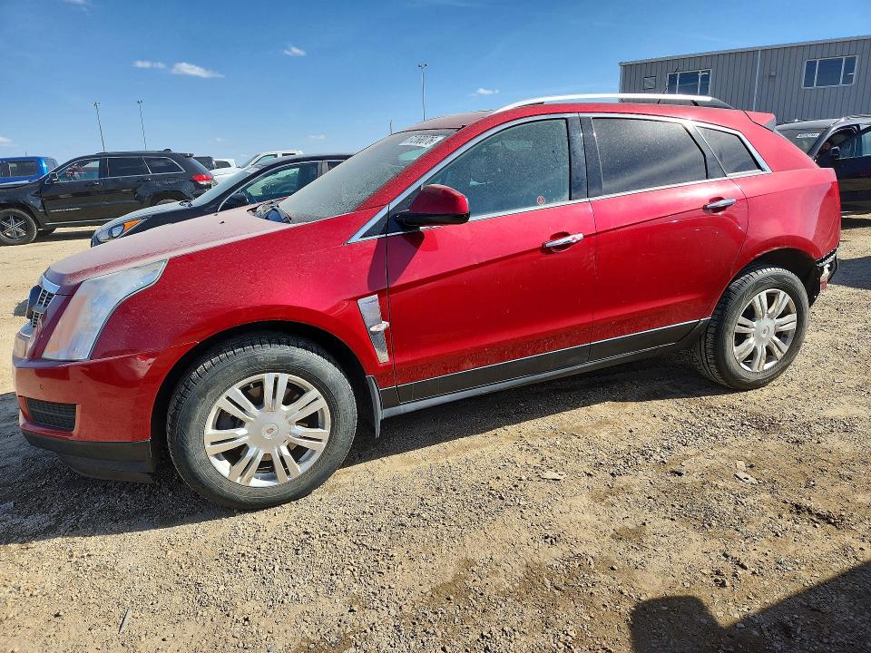 CADILLAC SRX 2011 with VIN 3GYFNDEY2BS609808 - Photo from auction