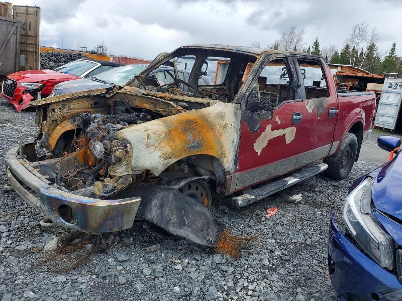 FORD F150 2007 with VIN 1FTPW14517FA24839 - Photo from auction