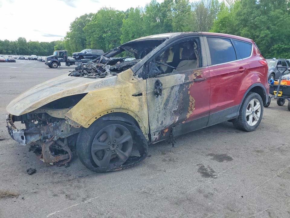 FORD ESCAPE 2014 with VIN 1FMCU0GX5EUA81187 - Photo from auction