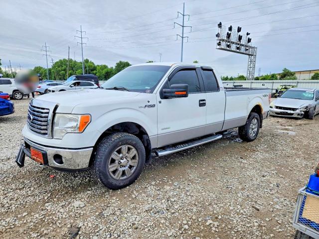 FORD F150 2012 with VIN 1FTFX1ET3CKE17345 - Photo from auction