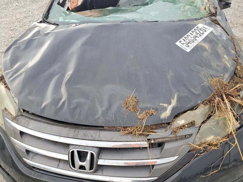 Photo 11 from auction – 2014 HONDA CR-V with VIN 5J6RM3H30EL019949