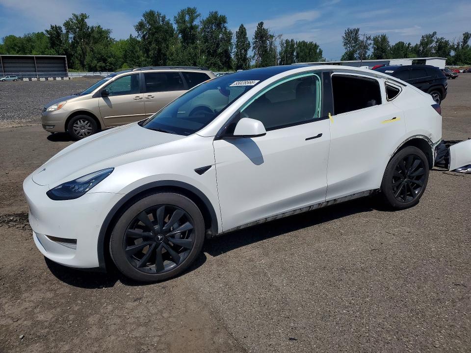 2021 TESLA MODEL Y - Търг №55028566