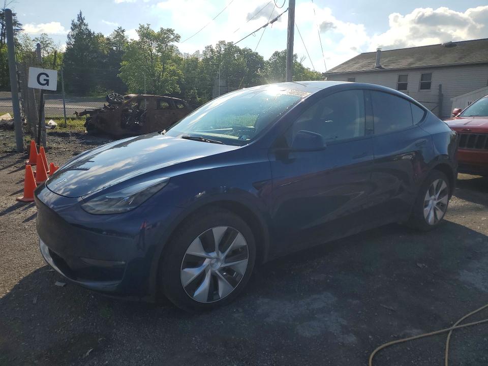 TESLA MODEL Y 2023 with VIN 7SAYGDEE0PF703669 - Photo from auction