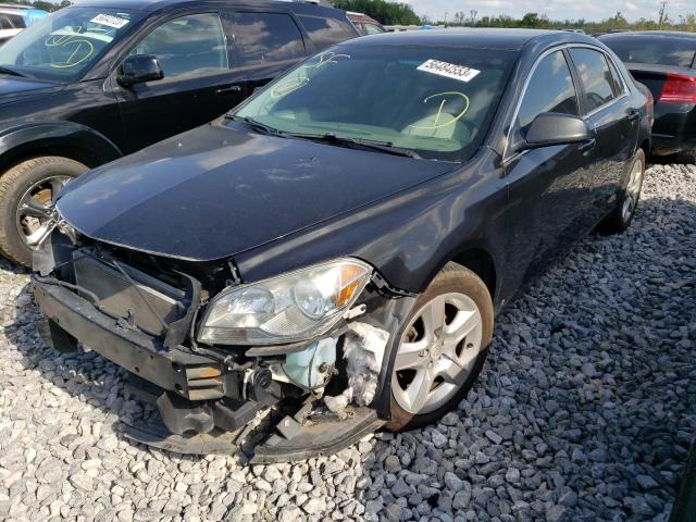 CHEVROLET MALIBU LS 2010 with VIN 1G1ZA5E04AF104671 - Photo from auction