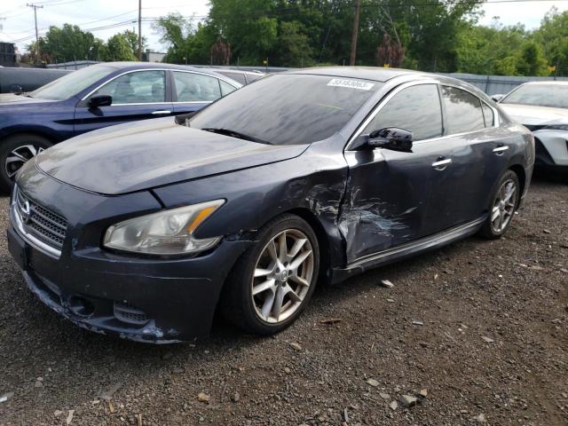NISSAN MAXIMA S 2009 with VIN 1N4AA51E49C852278 - Photo from auction