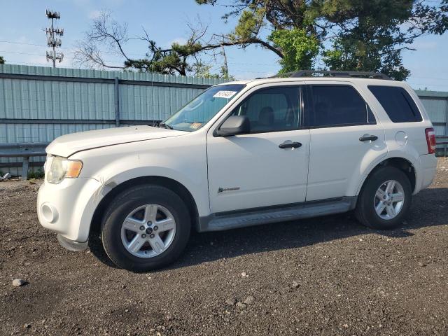 FORD ESCAPE HYB 2009 with VIN 1FMCU59339KB69387 - Photo from auction
