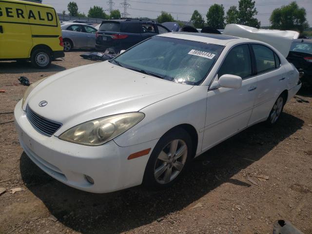 LEXUS ES 330 2005 with VIN JTHBA30G955138147 - Photo from auction