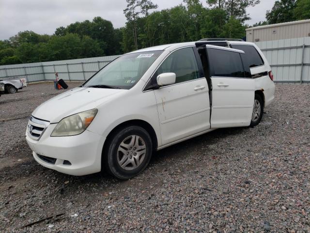 HONDA ODYSSEY EX 2007 with VIN 5FNRL38477B069920 - Photo from auction