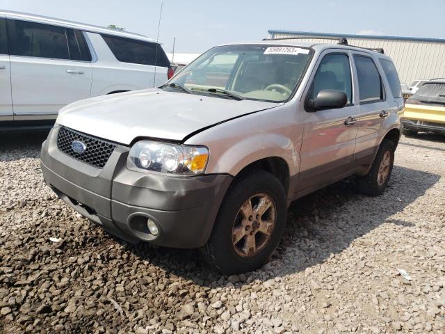Photo 1 from auction – 2007 FORD ESCAPE XLT with VIN 1FMCU03187KA19945