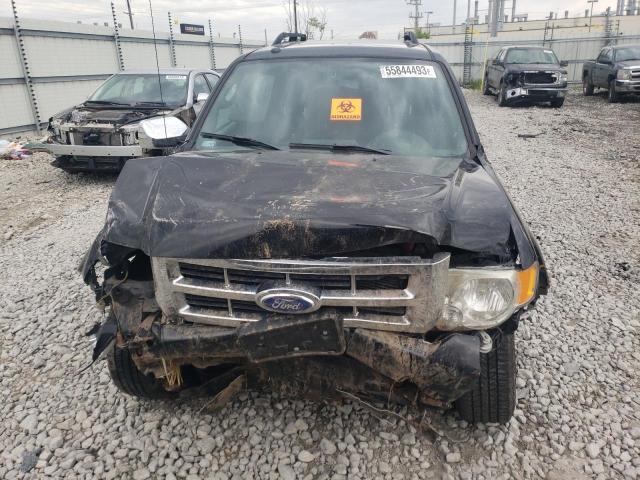 Photo 5 from auction – 2011 FORD ESCAPE XLT with VIN 1FMCU0DG6BKC22201