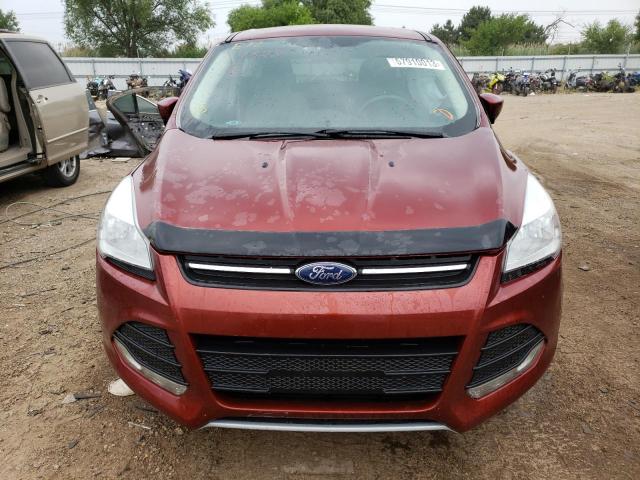 Photo 5 from auction – 2014 FORD ESCAPE SE with VIN 1FMCU0GX9EUA12261