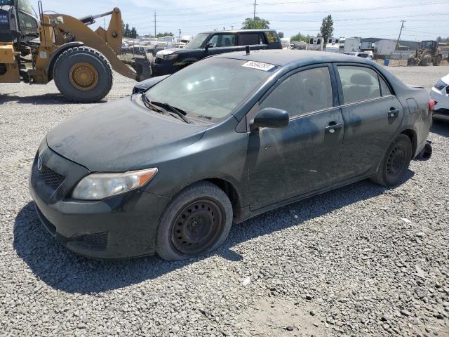 TOYOTA COROLLA BA 2009 with VIN 1NXBU40EX9Z025232 - Photo from auction