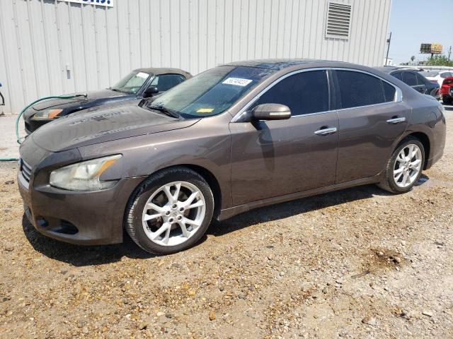 NISSAN MAXIMA S 2013 with VIN 1N4AA5AP8DC804969 - Photo from auction