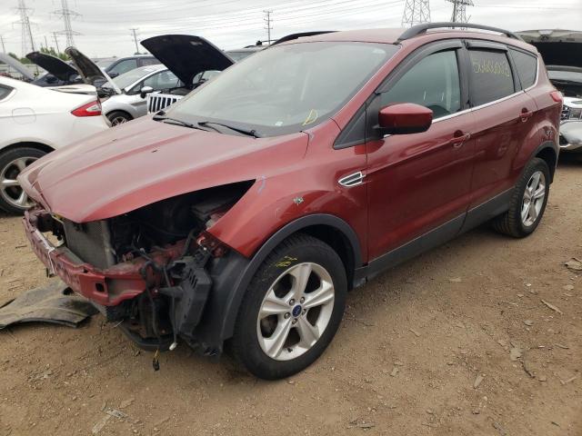 FORD ESCAPE SE 2014 with VIN 1FMCU0GX4EUB44330 - Photo from auction