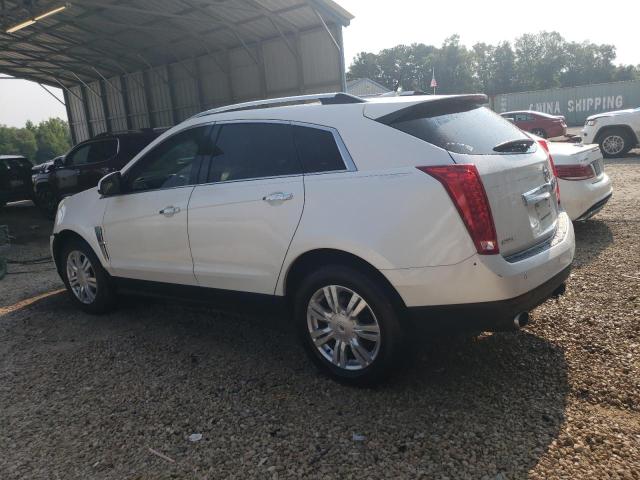 Photo 2 from auction – 2011 CADILLAC SRX PERFOR with VIN 3GYFNBEY3BS595339
