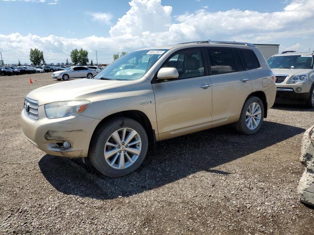 TOYOTA HIGHLANDER 2008 with VIN JTEEW44A782002242 - Photo from auction