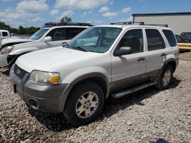 FORD ESCAPE XLT 2006 with VIN 1FMCU03136KC03026 - Photo from auction